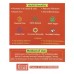 Immunity Booster -  Active Family pack