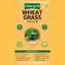 Wheat Grass Juice